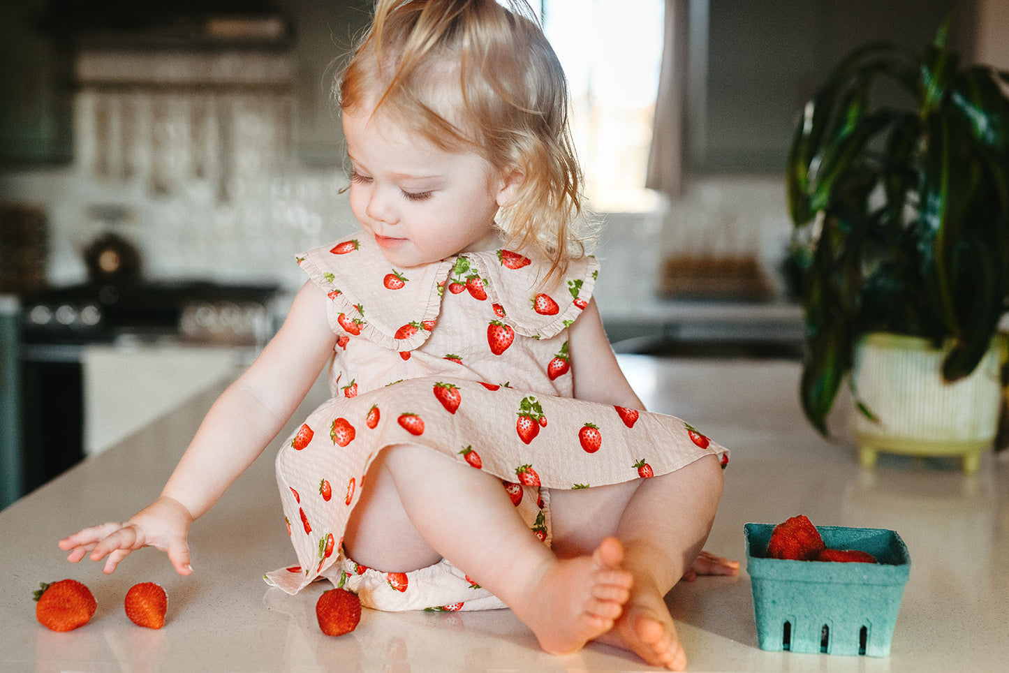Strawberry Ruffle Collar Dress