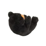 Lil' Baby Black Bear