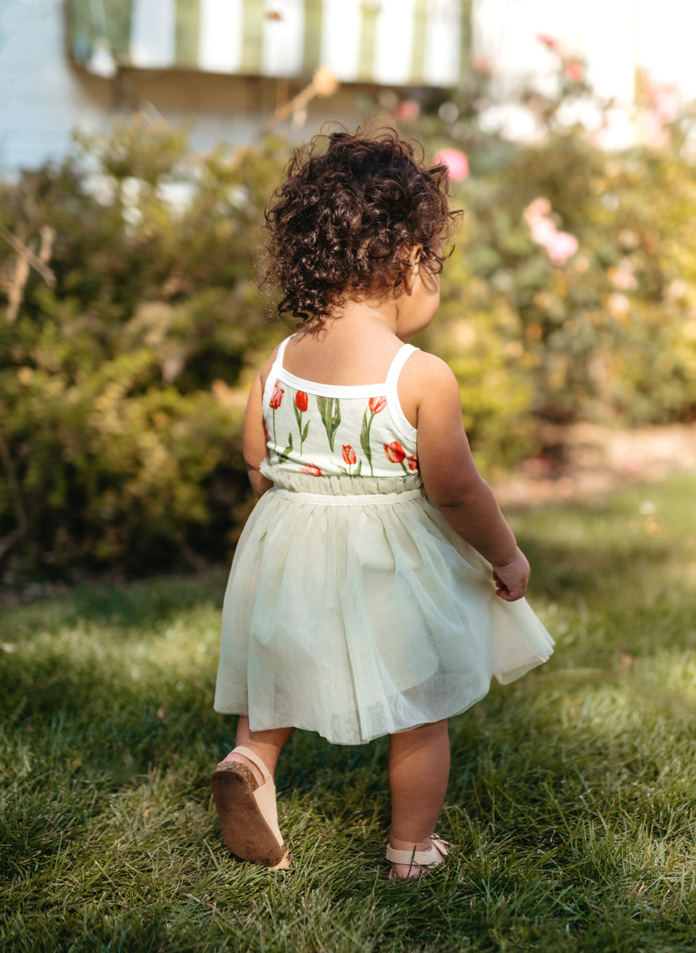Strawberry Ballet Dress