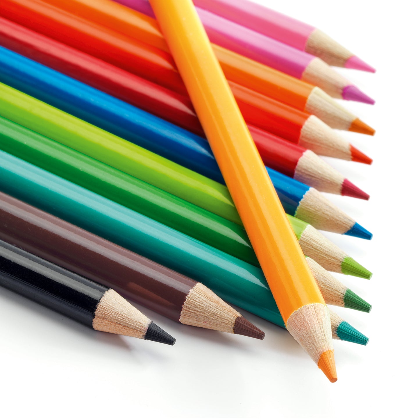 12 Watercolor Pencils