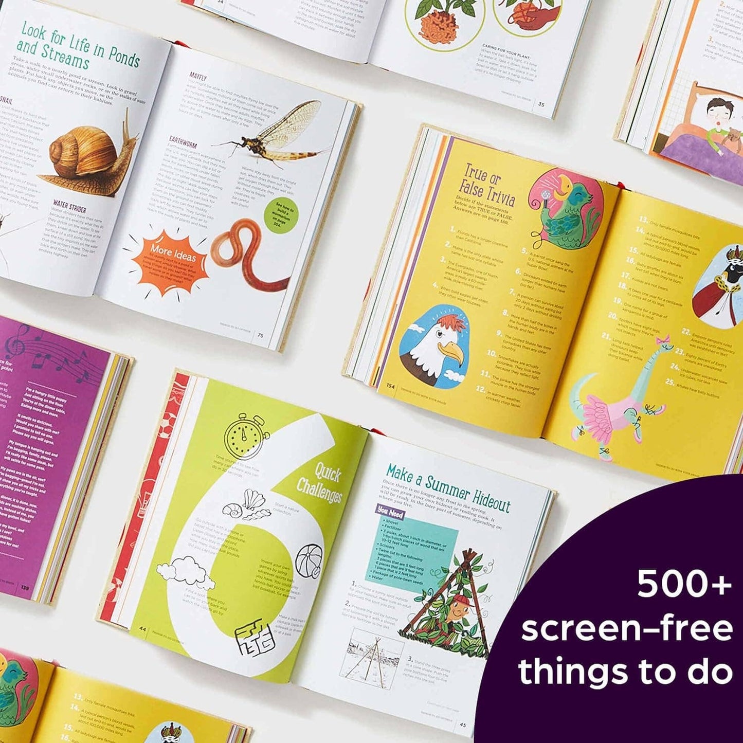 Highlights Book of Things to Do