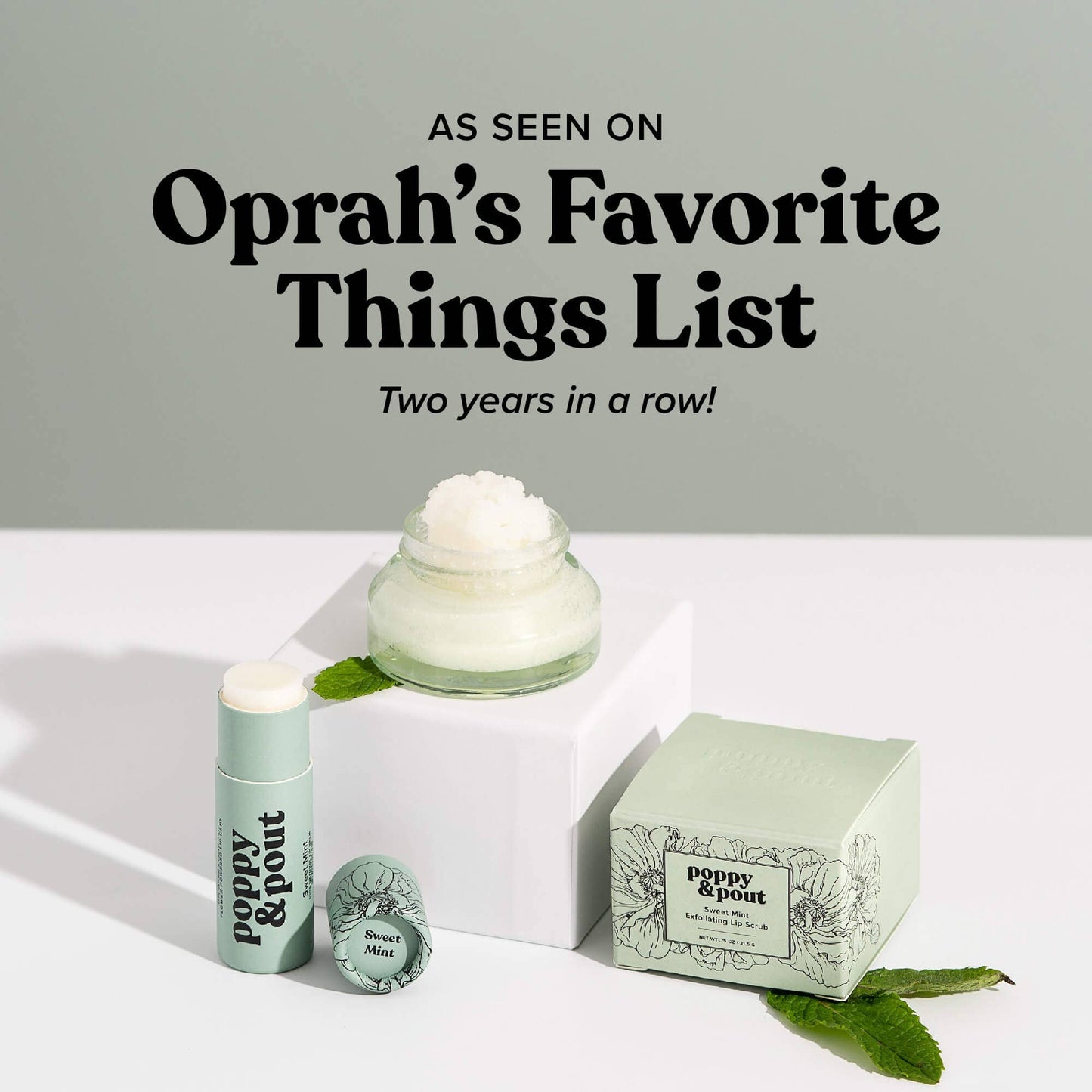 Lip Balm, Sweet Mint - Margot's Mercantile