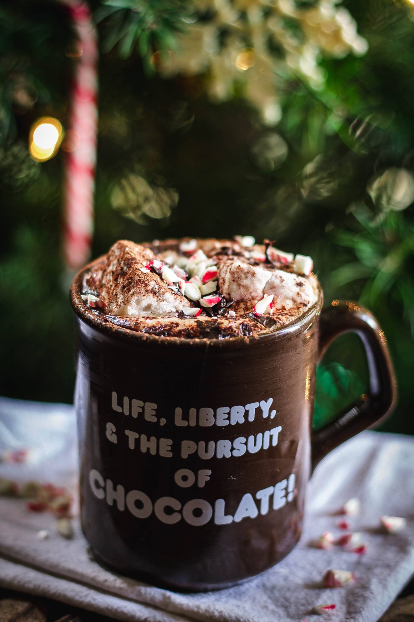 Cocoa Dipped Marshmallows