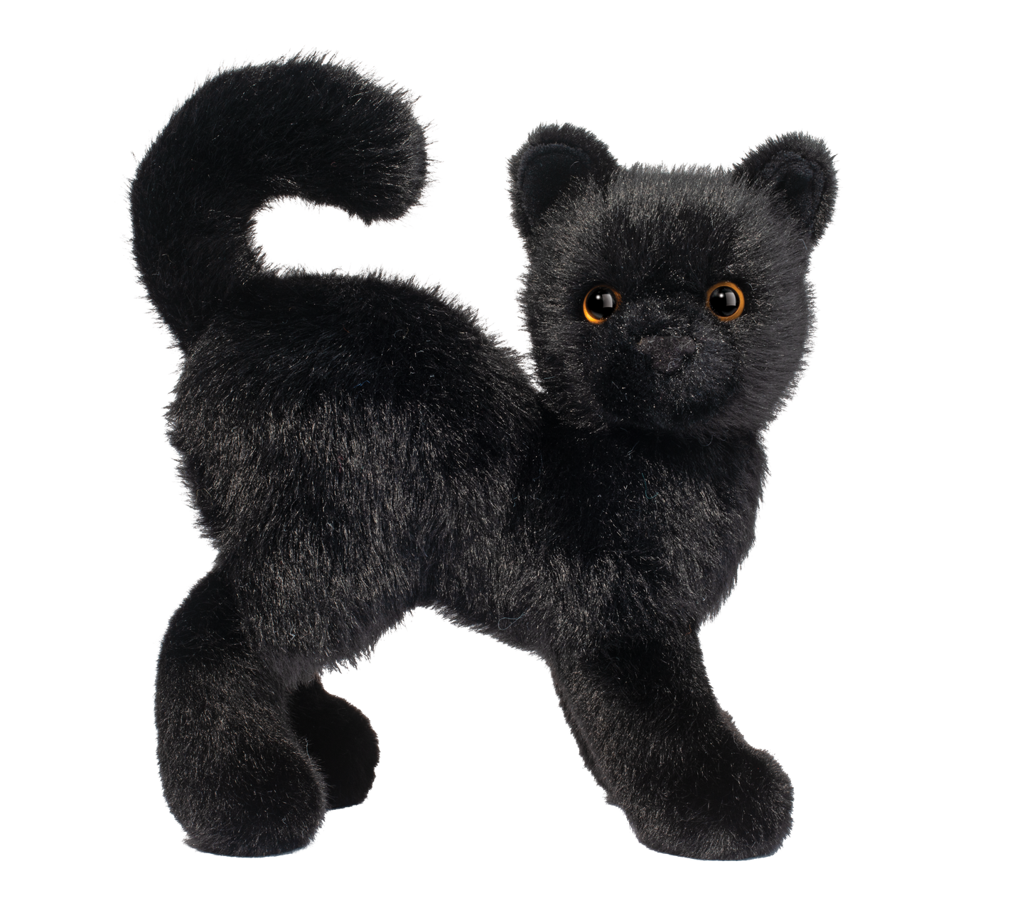 SCAREDY BLACK CAT