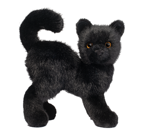 SCAREDY BLACK CAT