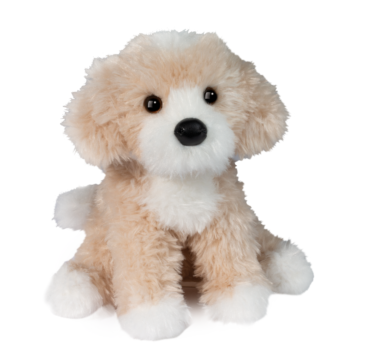 DARCY GOLDEN DOODLE