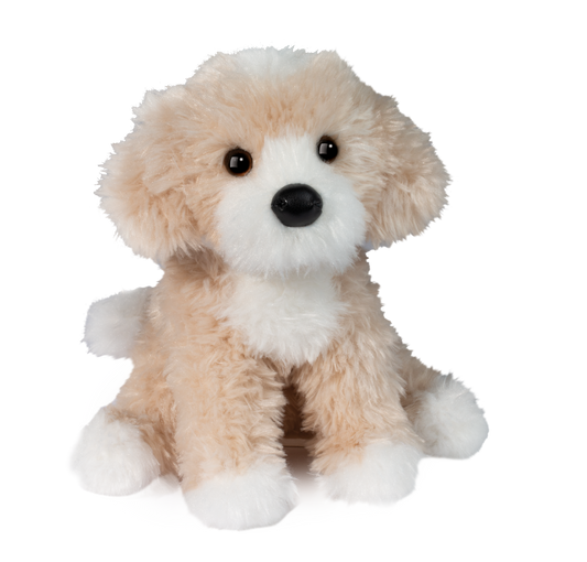 DARCY GOLDEN DOODLE