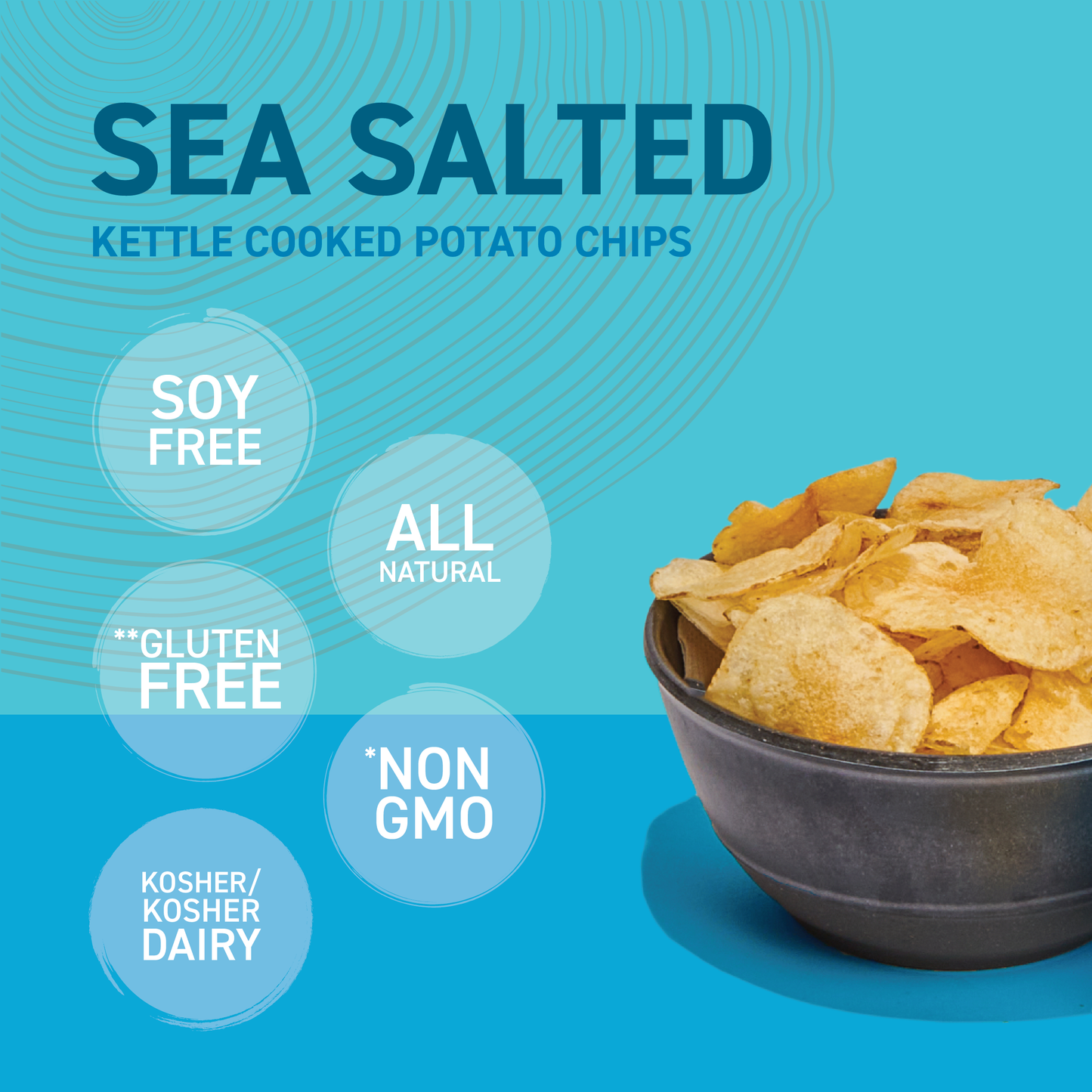 Sea Salted Kettle Cooked Potato Chips 6 OZ