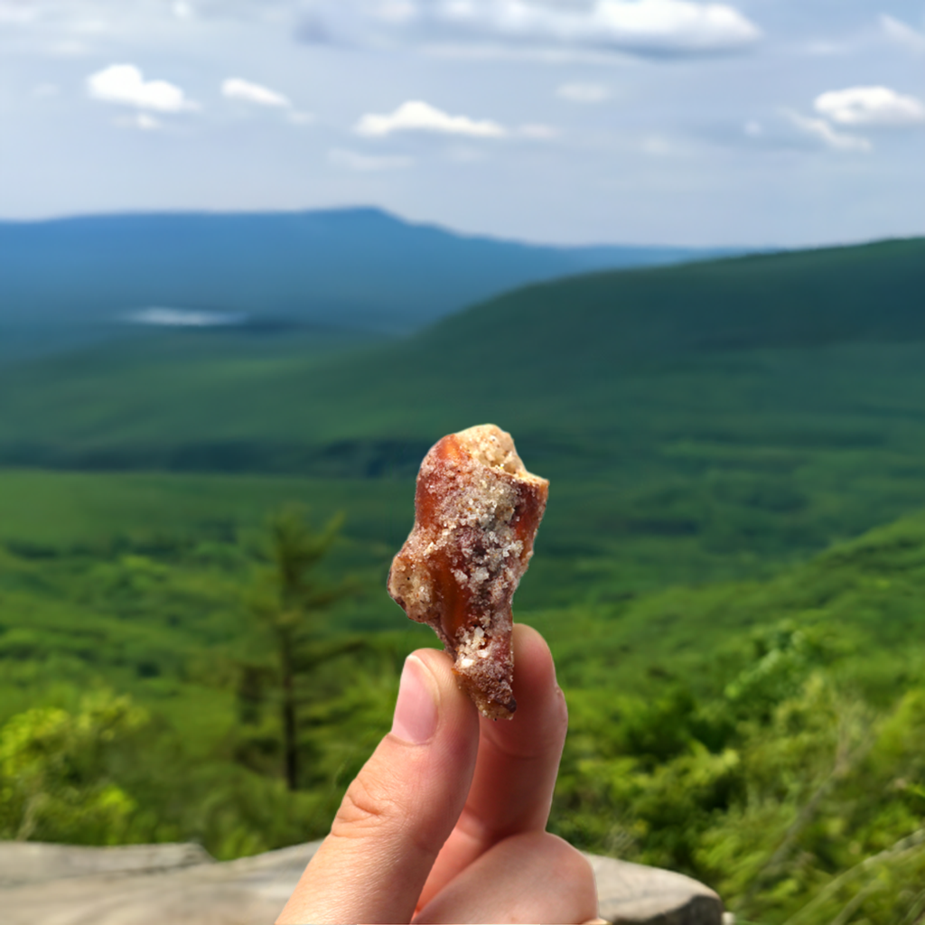 Sugar + Spice Pretzel Bites